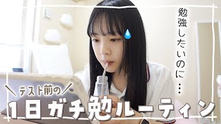 テスト1週間前！今日は1日ガチで勉強する！っていう休日、丸1日の勉強時間は！？ [upl. by Witkin414]