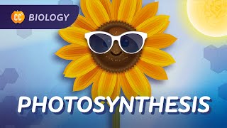 Photosynthesis The Original Solar Power Crash Course Biology 28 [upl. by Nerland]