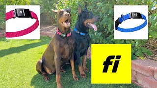 Best GPS collars out there  fi Series 3 collar review [upl. by Saenihp]