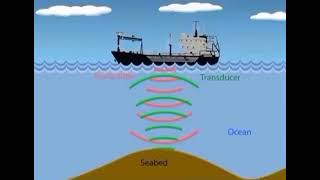 ping pong sonar [upl. by Walke]