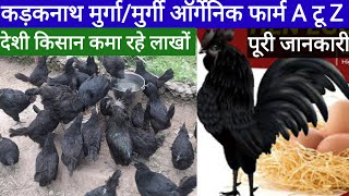 Kadaknath farm कड़कनाथ मुर्गामुर्गी औरगेनिक फार्म ए टू जेड जानकारी [upl. by Esinereb]