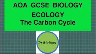 The Carbon Cycle AQA GCSE Biology [upl. by Weingarten104]