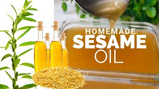 How to Make Sesame Oil At Home  No Additives Added  Homemade Oil [upl. by Rieth515]