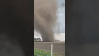 Towering Landspout Spotted Near an Indiana Farm During a Tornado Warning shorts [upl. by Armbruster]