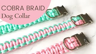 Cobra Braid Dog Collar  Full StepbyStep Tutorial [upl. by Ellynn]