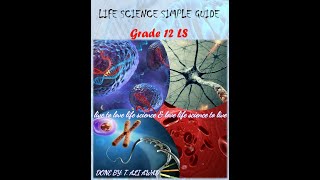 Immunology part 13 Document 2 Specific Immune response Humoral immunity experiment [upl. by Anigroeg]