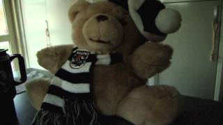 Collingwood theme song AFL Singing Teddy Bear mapgies [upl. by Cired721]