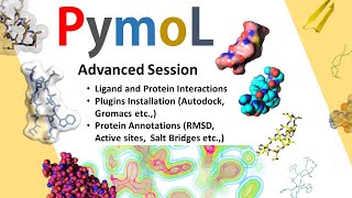 Pymol Advanced Session  Protein Ligand Interactions  Pymol Plugin Installation [upl. by Altis]