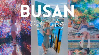 BUSAN VLOG spaland tongyeong luge gamcheon cultural village [upl. by Zilber580]