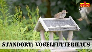 Vogelfutterhaus aufstellen [upl. by Dicky]