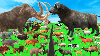 Prehistoric Animals Epic Battle Wild Animals Vs Domestic Animals Animal Revolt Battle Simulator [upl. by Hael]