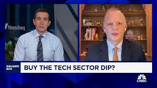 Neuberger Bermans Dan Flax on buying the tech sector dip [upl. by Ahsykal]