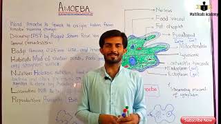 Introduction to biology Lec 10 Amoeba in HindiUrdu by Sir Ahsan Baloch [upl. by Orvie140]