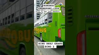 rorobus transport 1506 hino rk8j grandecho 2 pitx to san jose Mindoro bus travel [upl. by Ody]