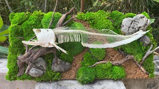 Taxidermy skeleton ARWANA SILVER PART 2 [upl. by Boaten]