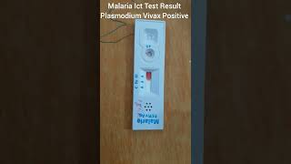 Malaria Test Result Plasmodium Vivax Positive information health [upl. by Stedt]