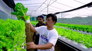 Katanim Goes to Salisi Lettuce Farm [upl. by Gelman]