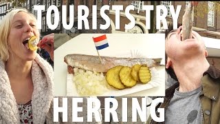 Tourists Try Dutch Herring [upl. by Irakab]