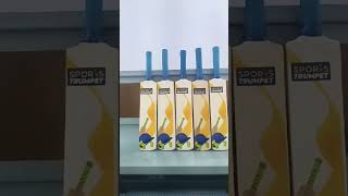 UV printing miniature cricket bat cricket cricketloveripl2024 wordcup [upl. by Ydollem]