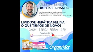 Lipidose hepática em felinos quais as principais novidades [upl. by Belldame]