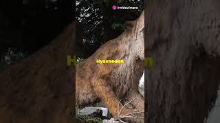 Hyaenodon The Mighty Prehistoric Predator facts wildlife animals [upl. by Turro]