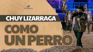 Como Un Perro  Chuy Lizárraga Video Oficial [upl. by Carla]