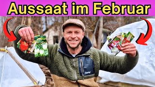 11 Gemüse die Du im FEBRUAR säen kannst 🌱  Aussaat im Frühbeet [upl. by Greene]