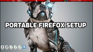 Firefoxportable app how to setup [upl. by Pernick]