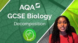 AQA GCSE Biology Decomposition [upl. by Tham]