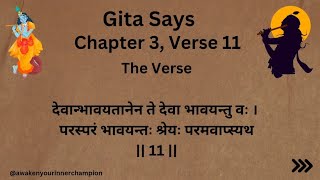 Bhagavad Gita Chapter 3 Verse 11  Gita Says geetakagyan gitasandesh bhagavadgitaquotes krishna [upl. by Scott]