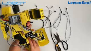 LewanSoul H30 Humanoid Robot Wiring Video [upl. by Everson881]