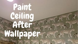 Paint Ceiling After Wallpapering the Walls  Spencer Colgan [upl. by Virgilio]