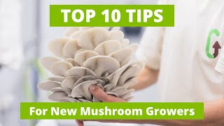 Top 10 Tips for Beginning Mushroom Farmers I How To Grow Mushrooms I GroCycle [upl. by Daryle]