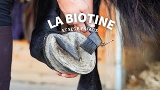 ATUCES DE PRO 👀 Les bienfaits de la Biotine🦶 [upl. by Llertac]