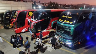 Buses en Arequipa  Temporada 1  Episodio 06 [upl. by Mundford]