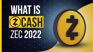 What is Zcash ZEC Zcash Explained  Cryptela [upl. by Ciredor]