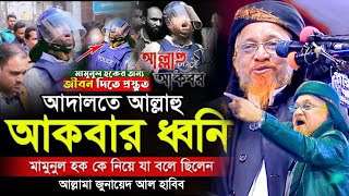 মামুনুল হকের আল্লাহু আকবর ও দান্ডা বেরি নিয়ে যা বললেন আল্লামা জুনায়েদ আল হাবিব Jonayed al habib waz [upl. by Ahl376]