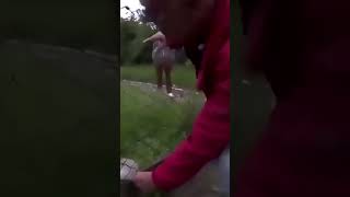 Kind Man Frees A Stuck Cygnet  Human being Bros [upl. by Keever156]