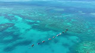 Whitsundays Bait Reef and Blue Pearl Bay October 2024 4K [upl. by Kerred412]