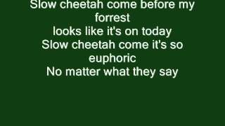 Red Hot Chili Peppers  Slow Cheetah Lyrics [upl. by Burack]