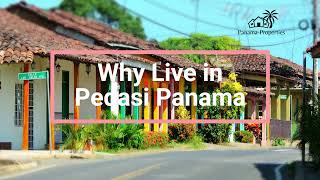 Why live in Pedasi Panama [upl. by Eelrak]