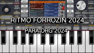 RITMO FORROZIN 2024  PARA ORG 🔥 DEMOSTRAÇÃO DO RITMO [upl. by Eisele684]