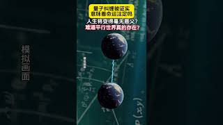 如果量子纠缠被证实，意味着命中注定吗？人生将变的毫无意义吗？探索宇宙 探索发现 量子纠缠 [upl. by Daphne904]