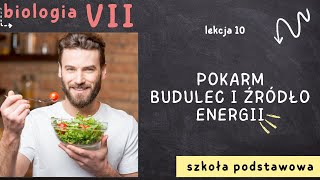 Biologia 7 Lekcja 10  Pokarm budulec i źródło energii [upl. by Grete]