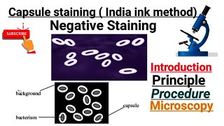 Capsule Staining  India ink method  Part 5 [upl. by Illene929]