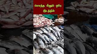 💥Vanagaram wholesale Fish Market வானகரம் மீன் சந்தை [upl. by Emery842]