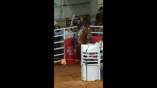 Danielle Lowman breaks arena record in Fort Worth [upl. by Gunzburg]