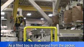 Valve Bag Placer Robotic [upl. by Atoked]