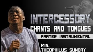 Theophilus Sunday  Intercessory Chants amp Tongues  One Hour Loop Prayer Instrumental [upl. by Ornie]