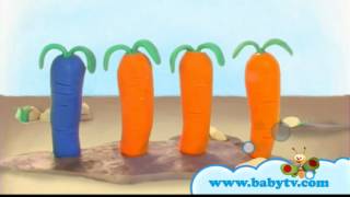 wwwbabytvdvdcom Learning colourswmv [upl. by Brina]